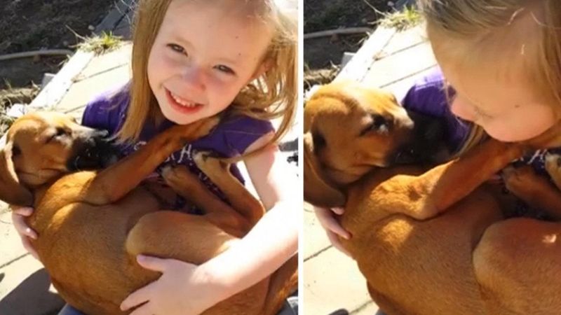 Rodzice zauważają, że córka śpiewa kołysankę psu, którego adoptowali ze schroniska