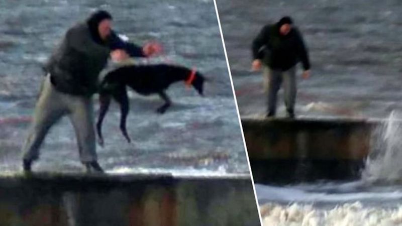 Wszedł na molo i wrzucił psa do zimnego morza. Świadkowie byli zdruzgotani