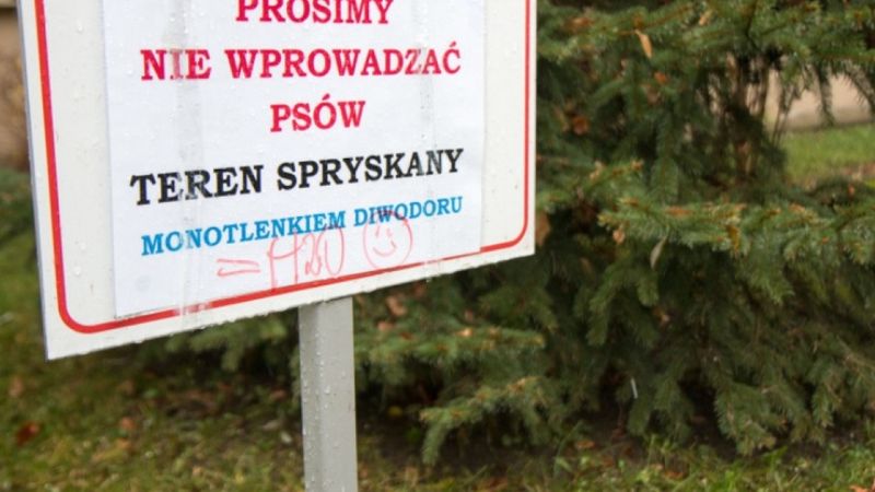 Spółdzielnia umieściła na trawnikach dziwne tabliczki. Właściciele psów byli przerażeni