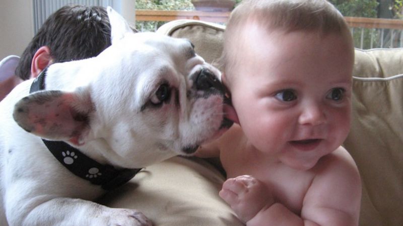 25 zdjęć, które udowadniają, że każde dziecko powinno być wychowywane ze zwierzakiem