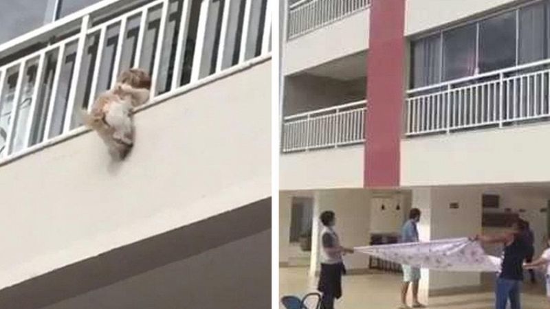 Zauważyli psa zwisającego z balkonu na 4. piętrze. Upadek wydawał się być nieunikniony