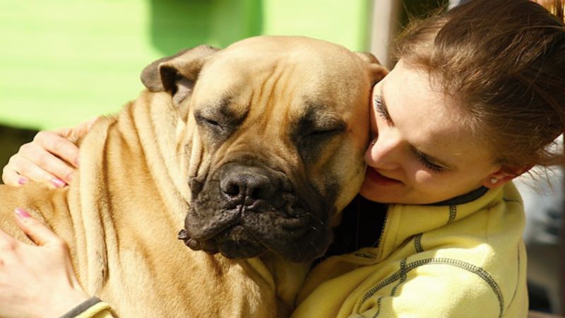 Nowe badania dowodzą: Właściciele czworonogów wolą spędzać swój czas z psami niż z przyjaciółmi