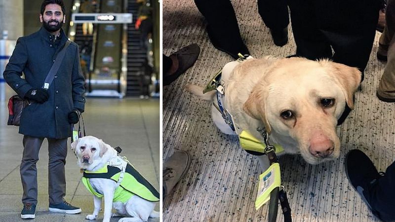 Niewidomy popłakał się po tym, jak pasażerowie potraktowali jego psa przewodnika w pociągu