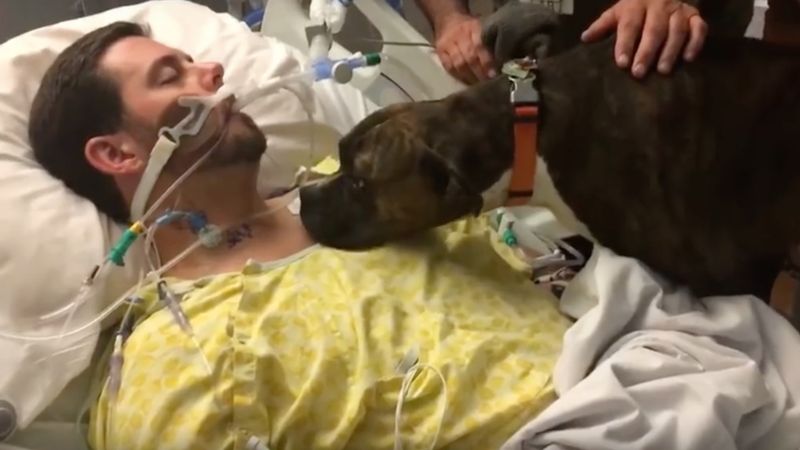 Lekarze wpuścili psa do umierającego mężczyzny. To była scena pełna łez i emocji