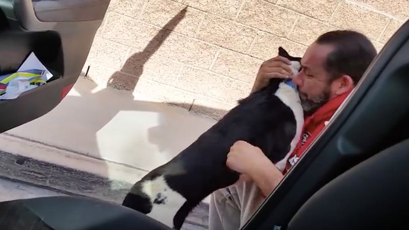 Mężczyzna spotyka swojego psa, który zaginął 12 dni temu. Reakcja wyciska łzy z oczu