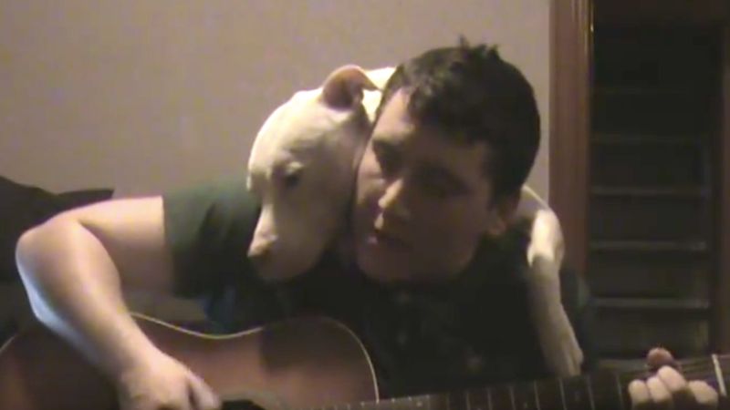 Mężczyzna zaczyna śpiewać piosenkę. Reakcja jego psa poruszyła ludzi na całym świecie
