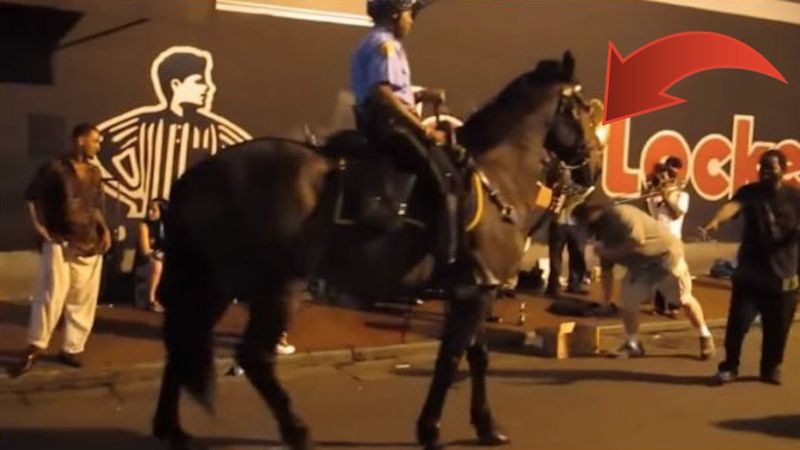 Koń policyjny usłyszał popularną piosenkę. Reakcja zwierzaka zachwyciła ludzi z całego świata