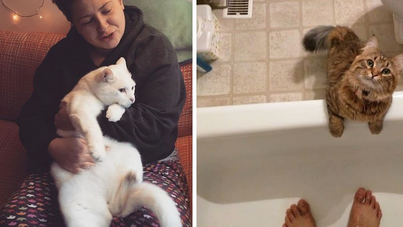 20 dziwnych rzeczy, które potajemnie robią właściciele kotów. Nie do wszystkich się przyznają!