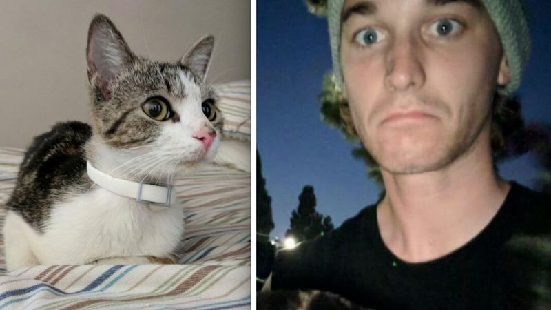 Przyniósł do domu bezdomną kotkę, a następnego ranka doznał wstrząsu życia