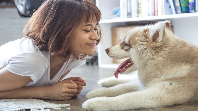 Nowe badania wykazały prawdę na temat właścicieli psów. Niektórych to szokuje