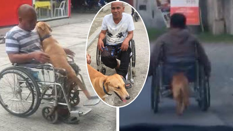 Pies pomaga swojemu panu pchać jego wózek inwalidzki. Para poruszyła serca tysięcy ludzi