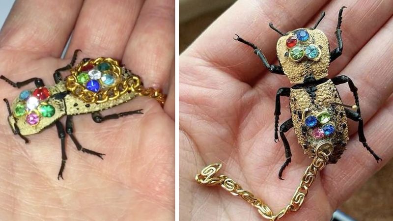 Przyklejają do żywych owadów kamienie i robią z nich biżuterię. To nowy trend w Meksyku