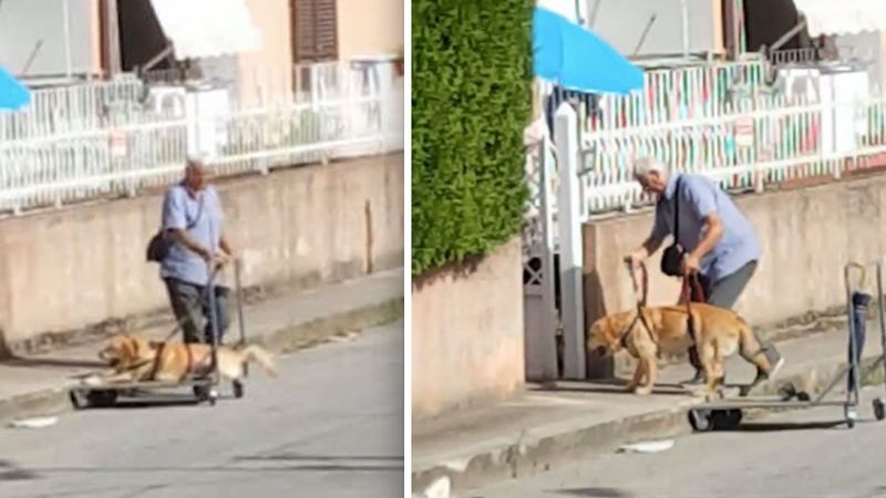 Ten starszy pan i jego niepełnosprawny pies poruszyli ludzi z całego świata