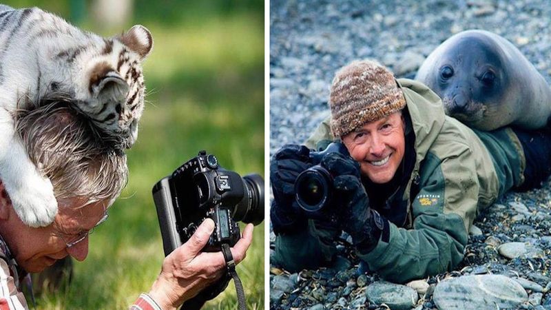 Zwierzaki przeszkadzające fotografom dzikiej przyrody to nasza nowa ulubiona rzecz