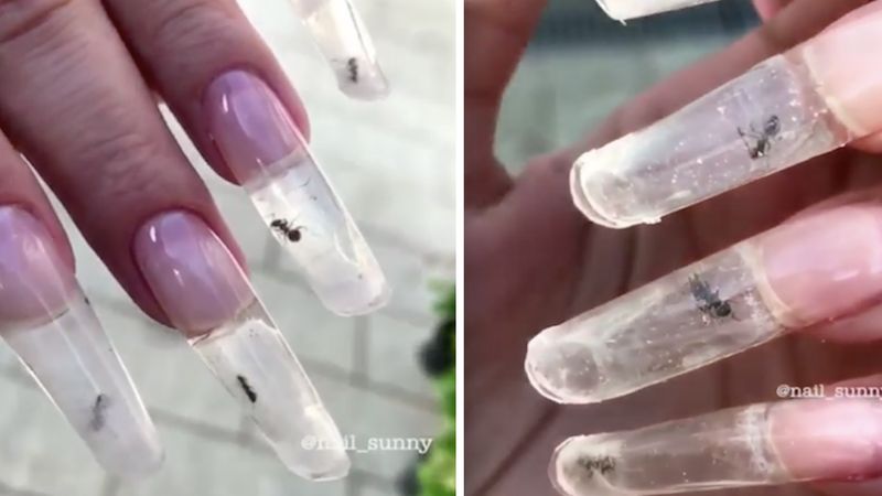Paznokcie z żywymi mrówkami. Rosyjski salon pochwalił się nowym pomysłem na manicure
