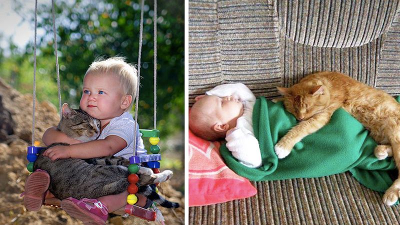 Słodkie zdjęcia, które udowadniają, że każde dziecko powinno wychowywać się z kotem