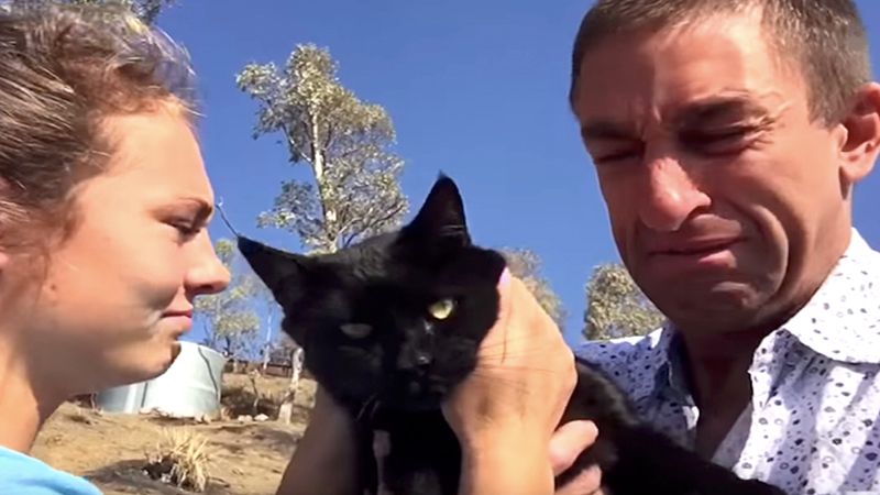 Po 9 dniach odnalazł swojego kota w gruzach. Zwierzak cudem przeżył niszczycielski pożar