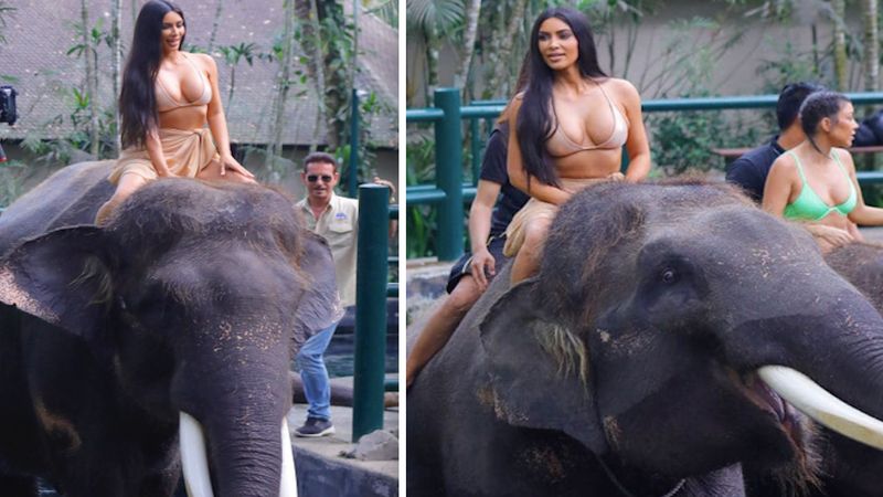 Kim Kardashian podzieliła się zdjęciem z wakacji, które wstrząsnęło miłośnikami zwierząt