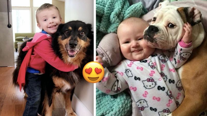 23 zdjęcia, które pokazują, dlaczego każde dziecko powinno dorastać wraz ze zwierzakiem