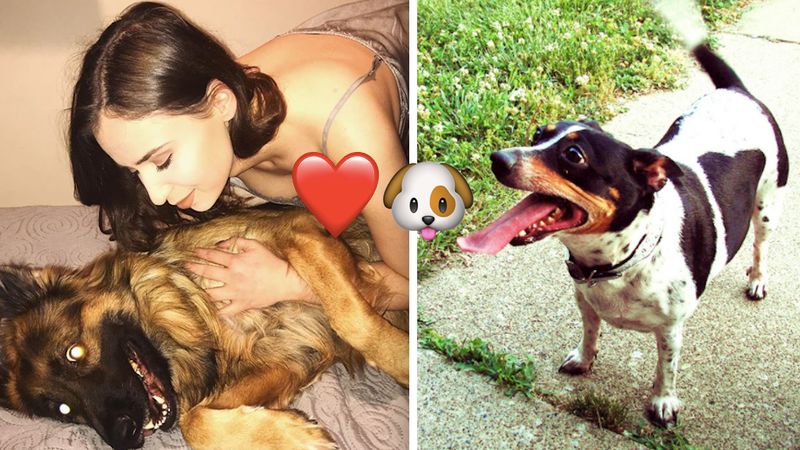 5 znaków, które świadczą, że twój pies naprawdę bardzo Cię kocha