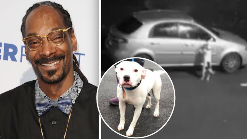 Pamiętacie psa, który gonił za samochodem swojej rodziny? Zainteresował się nim sam Snoop Dogg