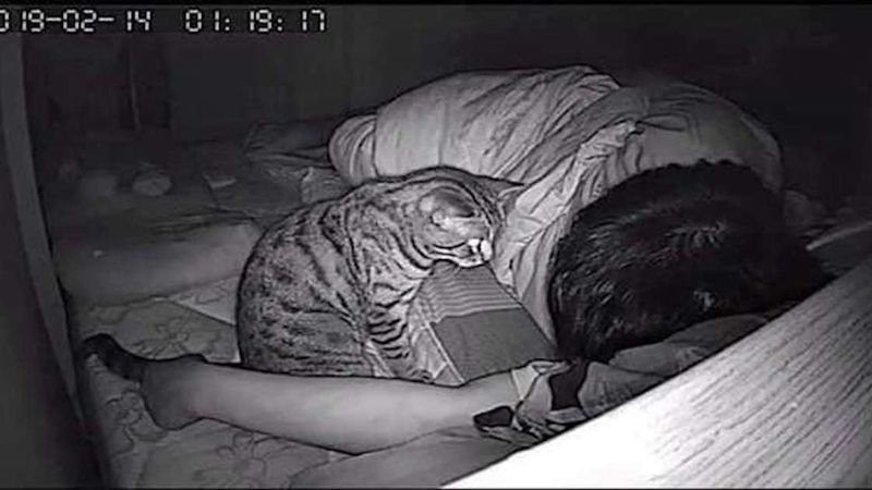 Zostawił na noc włączoną kamerę, aby zobaczyć, co robi jego kot podczas, gdy on śpi