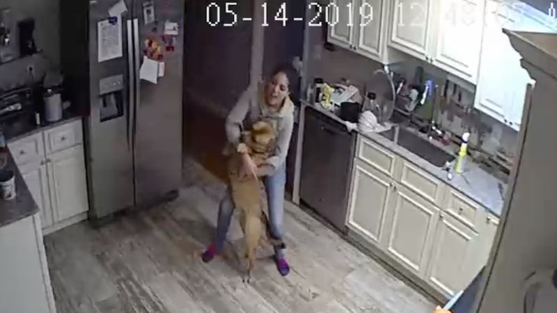 Odkrył, co jego dziewczyna robi z psem w czasie, gdy nie ma go w domu