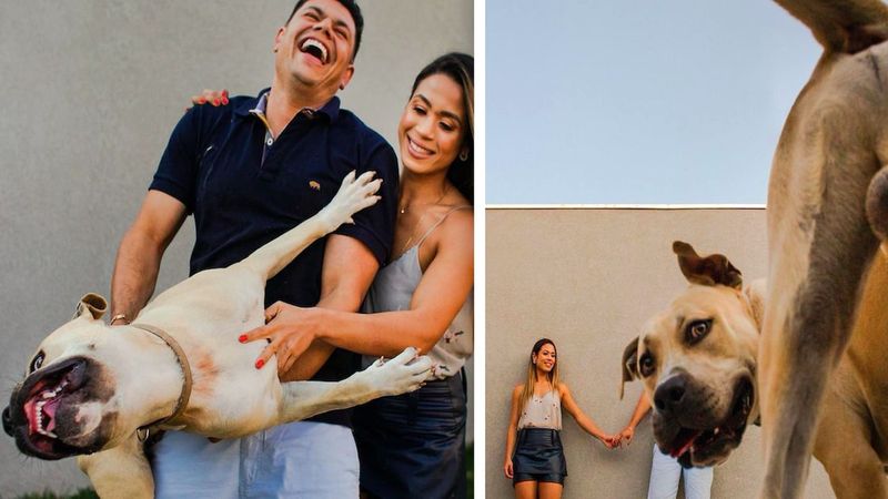 Para zabrała swojego psa na sesję przedślubną, a ich zdjęcia to prawdziwy hit