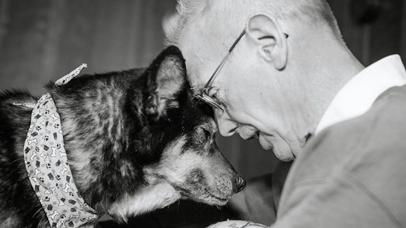 71-letni wolontariusz ratuje niewidomą i chorą na raka suczkę z celi śmierci