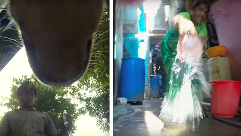 Przerażający filmik ukazuje, jak wygląda życie bezdomnego psa w Indiach. Serce się kraje