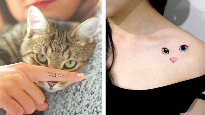 20 najlepszych inspiracji na tatuaże dla wszystkich koto-maniaków