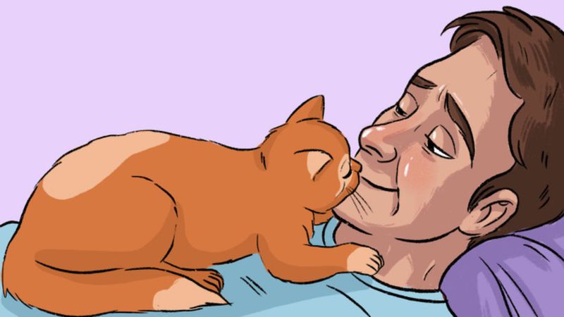 13 powodów, które świadczą o tym, że kot bezgranicznie Cię kocha!