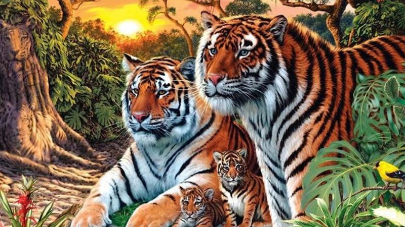 Znajdź wszystkie tygrysy na obrazku. Do tej pory udało się to tylko 1% społeczeństwa