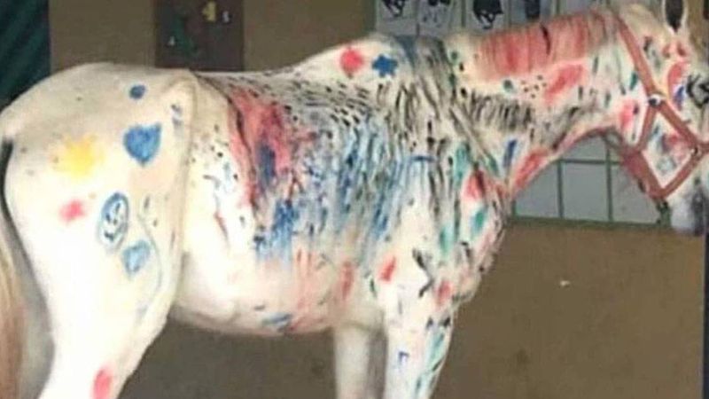 Nauczycielka zapytała dzieci, czy zamiast na papierze, chcą malować po… koniu