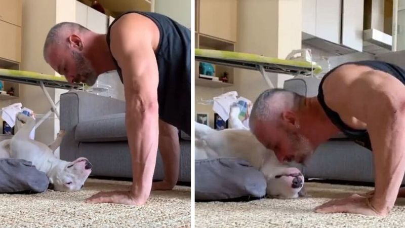 Pies i jego tata pokazali, jak najlepiej jest trenować podczas kwarantanny