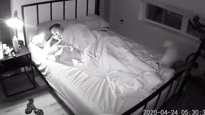 Zainstalował kamerę w sypialni i odkrył, co robi kot w czasie, gdy on śpi
