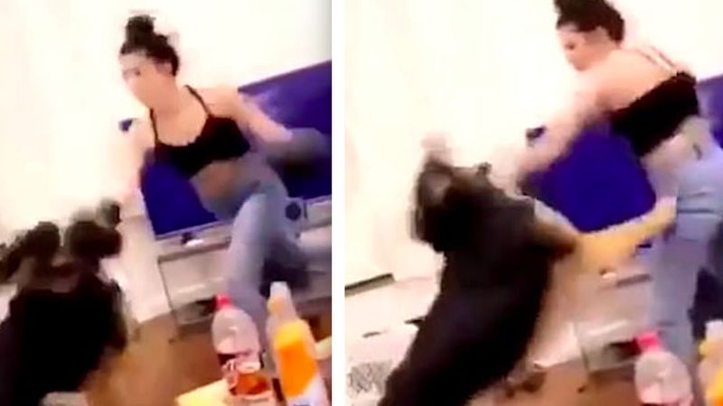 Do sieci wypłynęło niepokojące wideo, jak kobieta boksuje swojego psa. Zadała mu wiele ciosów