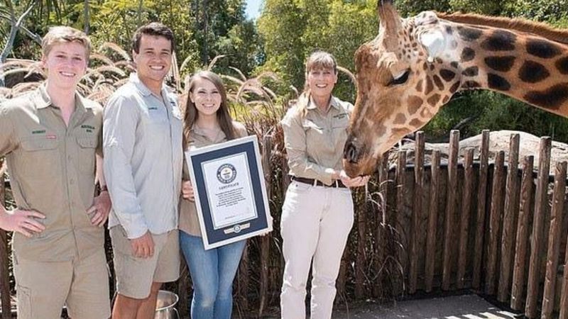 Mamy rekordzistkę! Największa żyrafa wpisana do Księgi Rekordów Guinnessa