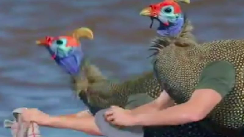 Gdyby ptaki miały ręce – czyli animacja, która sprawia, że ludzie płaczą ze śmiechu