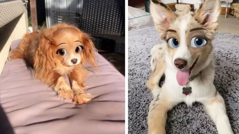 Nowy filtr ze Snapchata zamienia psy w gwiazdy Disneya. Oto 30 najlepszych efektów
