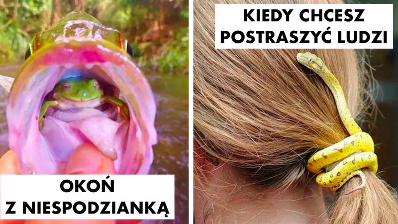 22 zdjęcia, które sprawią, że spadniesz z krzesła