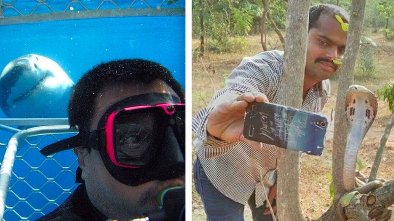 20 selfie ze zwierzakami, dla których ludzie zaryzykowali zbyt wiele
