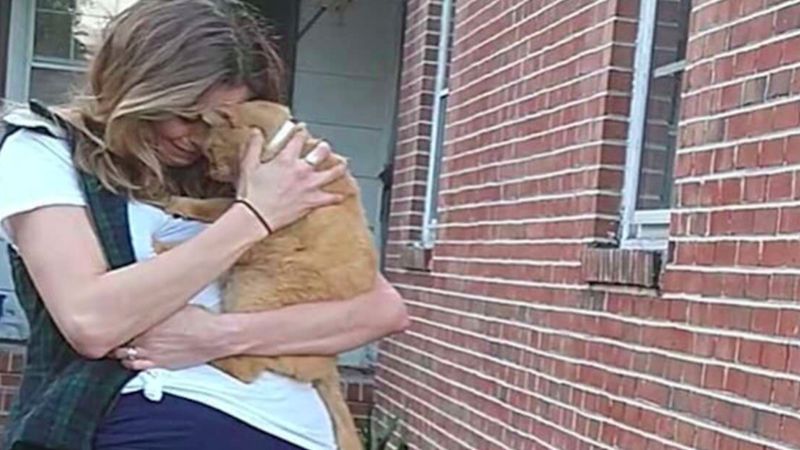 Po 536 dniach poza domem, zaginiony kot wskakuje w ramiona swojej ukochanej mamy