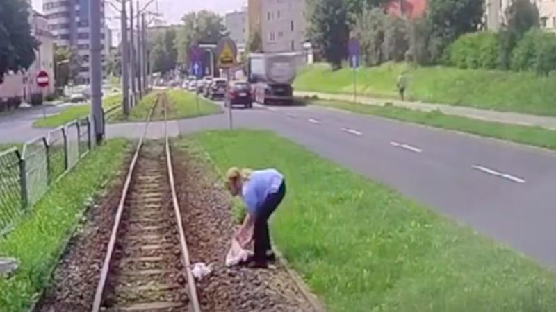 Elbląg: Motornicza bohaterka opuściła własny tramwaj, aby uratować uwięzione na torach zwierzę
