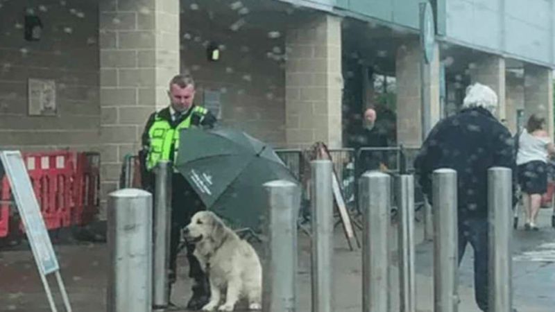 Ochroniarz rozłożył parasol nad psem, który moknął przed sklepem