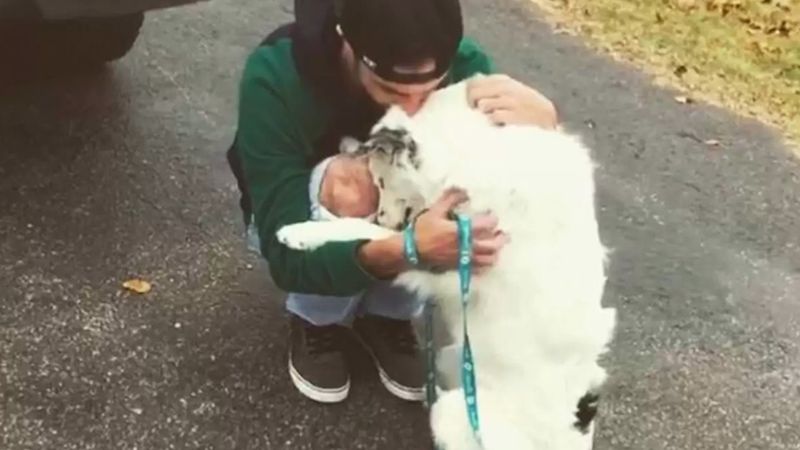 Pies, którego kiedyś nikt nie mógł dotknąć, nie może przestać tulić się do swojego nowego taty
