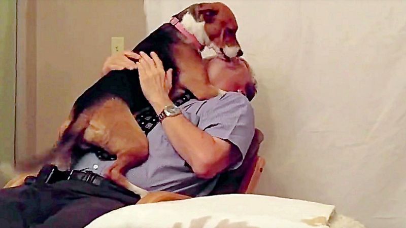 Suczka ze schroniska obsypuje swojego tatę pocałunkami po tym, jak uratował ją przed uśpieniem