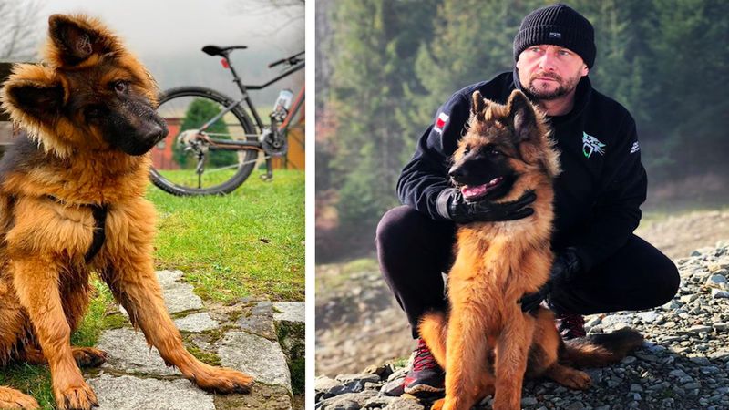 Przyjaciel Kamila Durczoka zdradził, co dalej stanie się z ukochanym psem dziennikarza