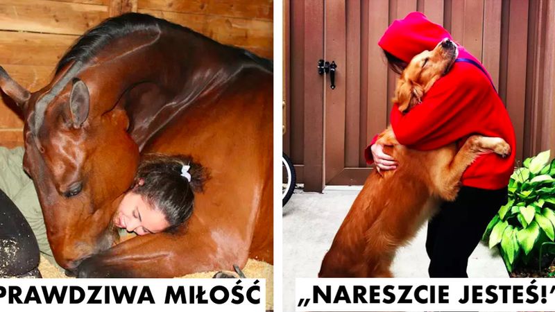 18 zwierzaków, które kochają przytulanie bardziej niż cokolwiek na świecie