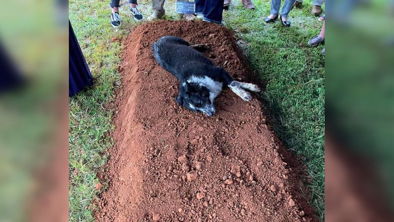 Dramatyczne sceny podczas pogrzebu 22-latka. Zrozpaczony pies nie chciał opuścić trumny